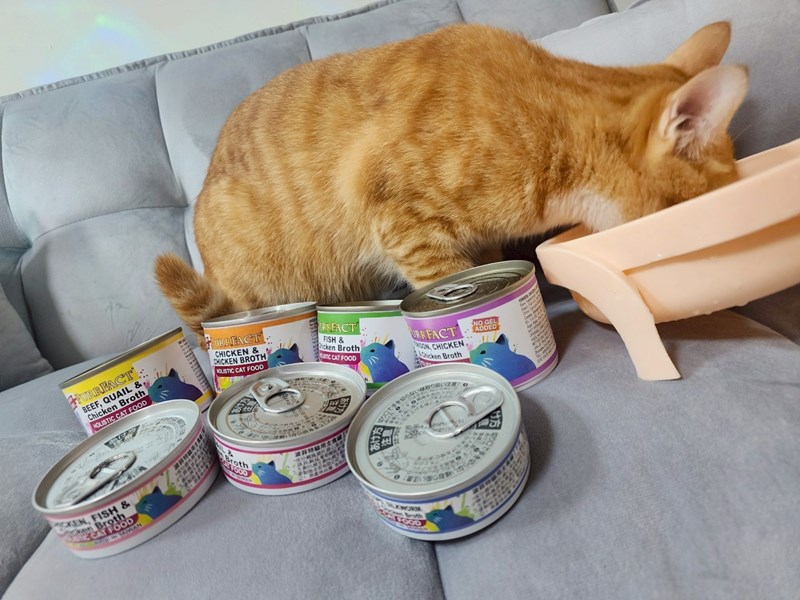 女人知己試用大隊,口碑行銷,部落客行銷,PURRFACT 波菲特貓用主食罐,主食罐,PURRFACT波菲特,貓主食罐,貓罐,PURRFACT波菲特貓用主食罐,魚肉蔓越莓主食罐,鮮嫩雞主食罐,鹿肉雞肉主食罐,牛肉鵪鶉貓主食罐,干貝蠶蛹配方,鱷魚肉白木耳配方,雞肉魚肉配方,安心鶉配方,評價,體驗,適口性佳,心得,成貓適用,高齡貓適用,質地是慕絲狀